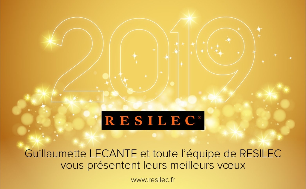 Vœux 2019 RESILEC